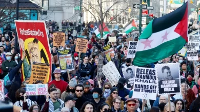 Only 14 Democratic lawmakers signed a letter urging the release of Mahmoud Khalil, an anti-genocide Palestinian activist and U.S. green card holder.