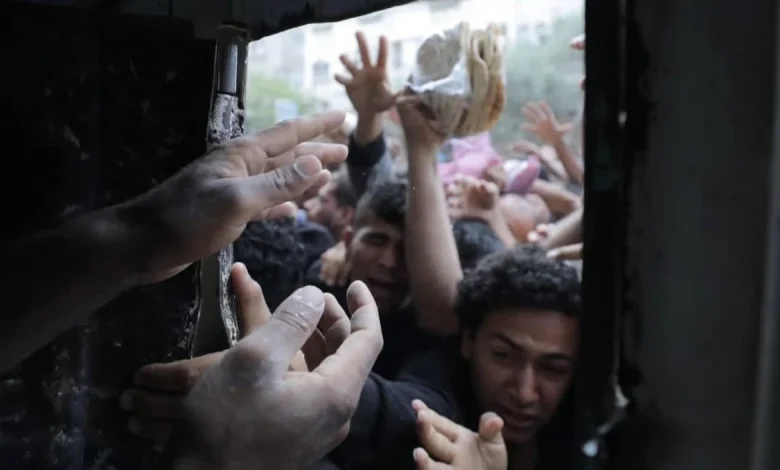 The World Food Programme (WFP) confirmed that looters seized 15 of its aid trucks in southern Gaza overnight — after Israel killed six police officers who were escorting the convoy.