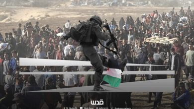 The Israeli army has offered five conflicting stories to deny its role in the killing of 31 starving civilians and the injury of over 200 others in the Witkoff massacre at the US-Israeli aid distribution point in Rafah.
